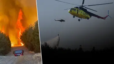 İzmir'de orman yangını kontrol altında: Çok sayıda ev tahliye edildi