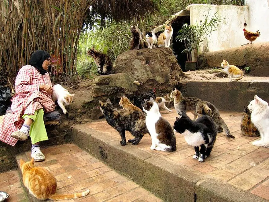 İnternetin yeni fenomenleri 16