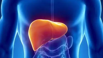 Viral hepatitle mücadelede 5 yıllık eylem planı