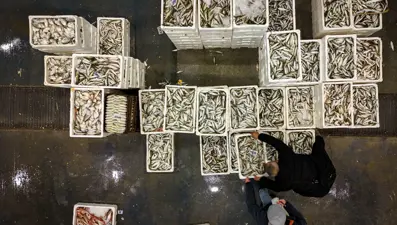 Denizlere veda: Av yasağı başlıyor