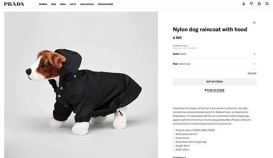 Prada'dan 13 bin TL'ye köpek yağmurluğu 2 Prada'dan 13 bin TL'ye köpek yağmurluğu 2