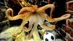 'Bin yıl önce olsa peygamber ilan edilirdi' 'Bin yıl önce olsa peygamber ilan edilirdi'