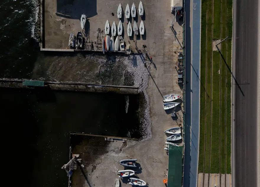 İzmir Körfezi'nde korkutan tablo! Balık ölümleri devam ediyor 3