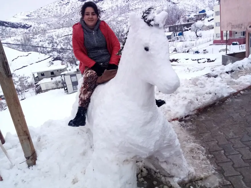 ŞIRNAK 12