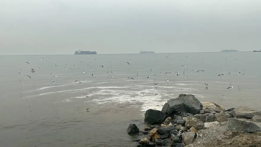 Beylikdüzü'nde kanalizasyon suyu denize aktı 4