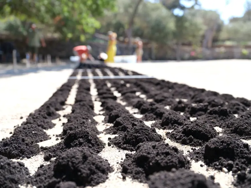 Aşık Veysel'in vefatının 50. yılında Bodrum'da dev portresi yapıldı 