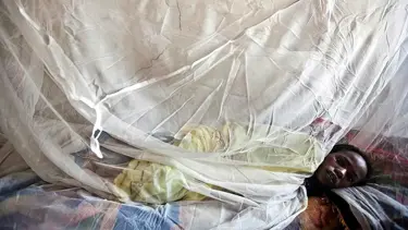 Nijerya'da Lassa ateşinden can kaybı 59'a çıktı