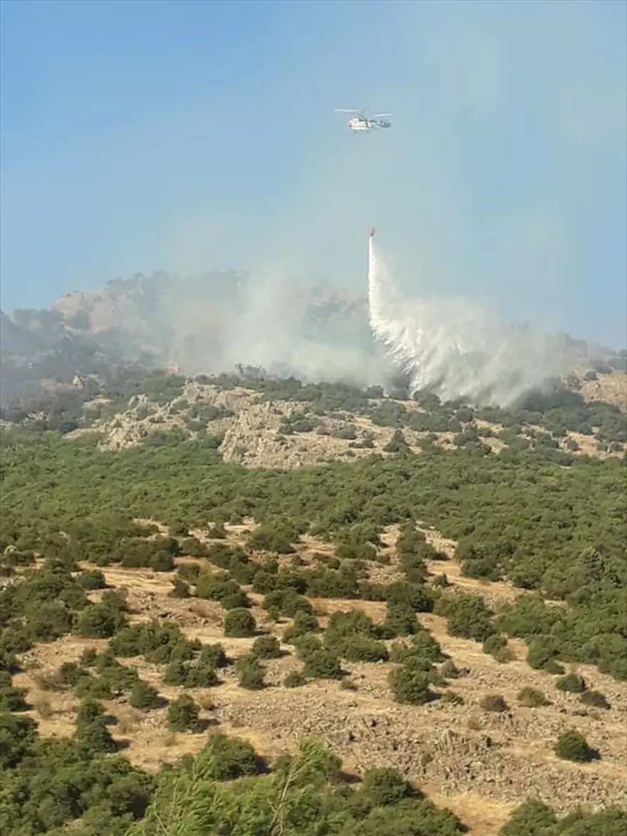Balıkesir'de orman yangını 2