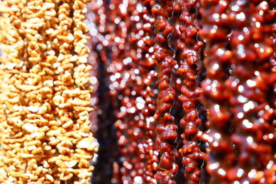 Orcik mesaisi başladı: Özel toprakla mayalanıyor 2