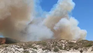 Çeşme'deki orman yangınında 3 kişi hayatını kaybetti: Yangının çıkış nedeni belli oldu Çeşme'deki orman yangınında 3 kişi hayatını kaybetti: Yangının çıkış nedeni belli oldu
