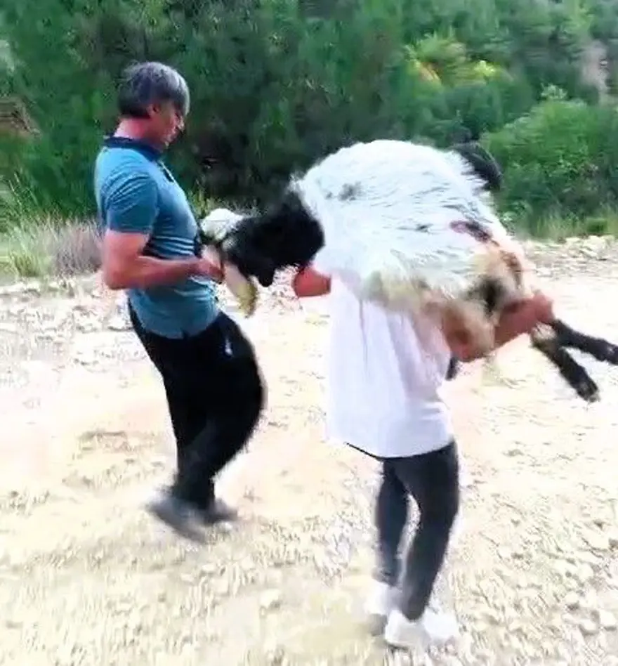 ÇABALARI YETERLİ OLMADI 2 ÇABALARI YETERLİ OLMADI 2