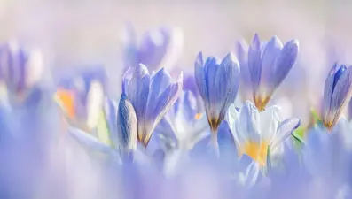 Eylül ayı (sonbahar) ile ilgili sözler: "Her Eylül, yeni bir başlangıcın habercisidir"