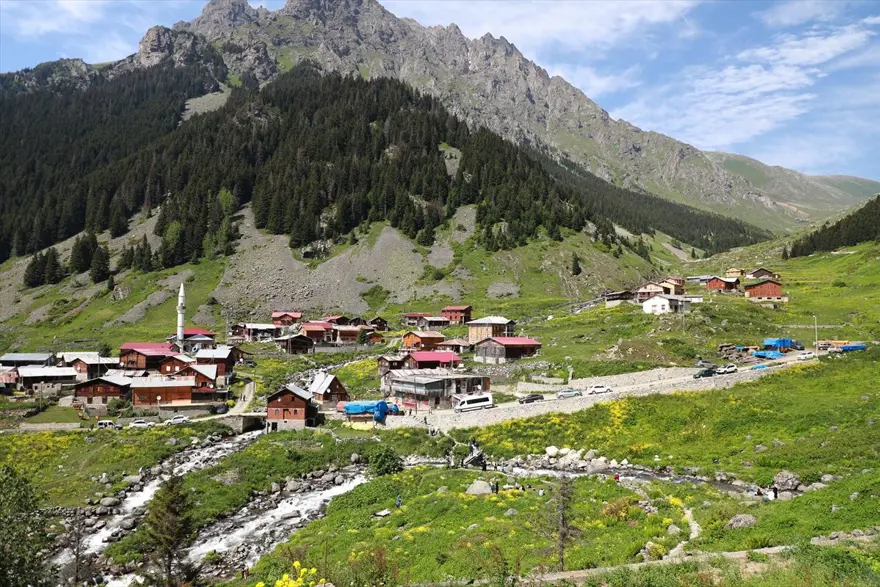 Karadeniz'in yeni gözdesi 'Elevit Yaylası' ziyaretçilerine nefes oluyor 