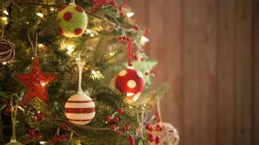 Belçika Gıda Ajansı: Lütfen noel ağacınızı yemeyin