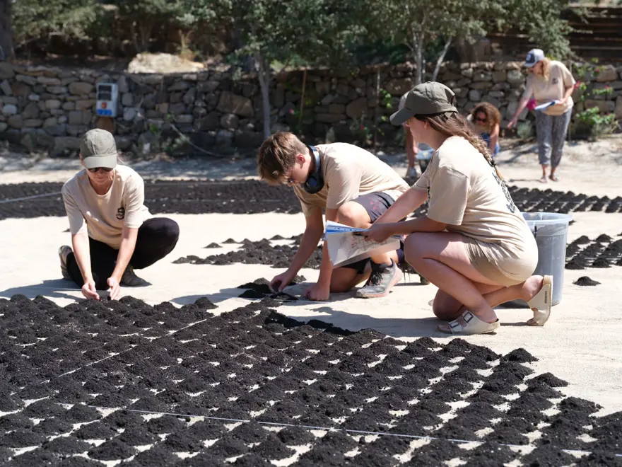 Aşık Veysel'in vefatının 50. yılında Bodrum'da dev portresi yapıldı 4