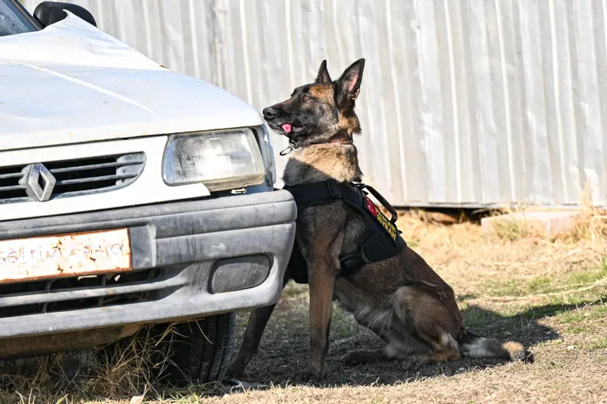 TürkHava Kuvvetleri’nin hassas burunları 5 TürkHava Kuvvetleri’nin hassas burunları 5