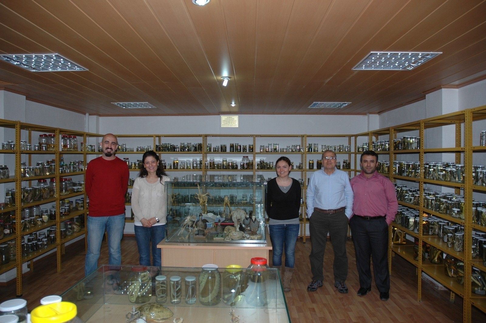 Türk akademisyenler yeni bir bakteri türü keşfetti