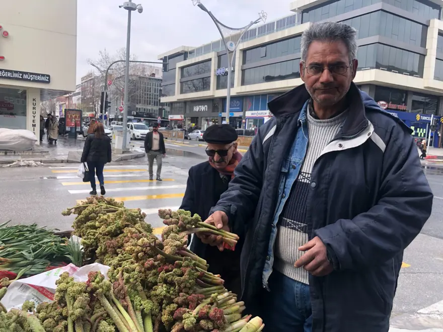 Kendiliğinden yetişen vitamin deposu tezgahta: Kanserin yeni ilacı olarak nitelendirilmiş 1