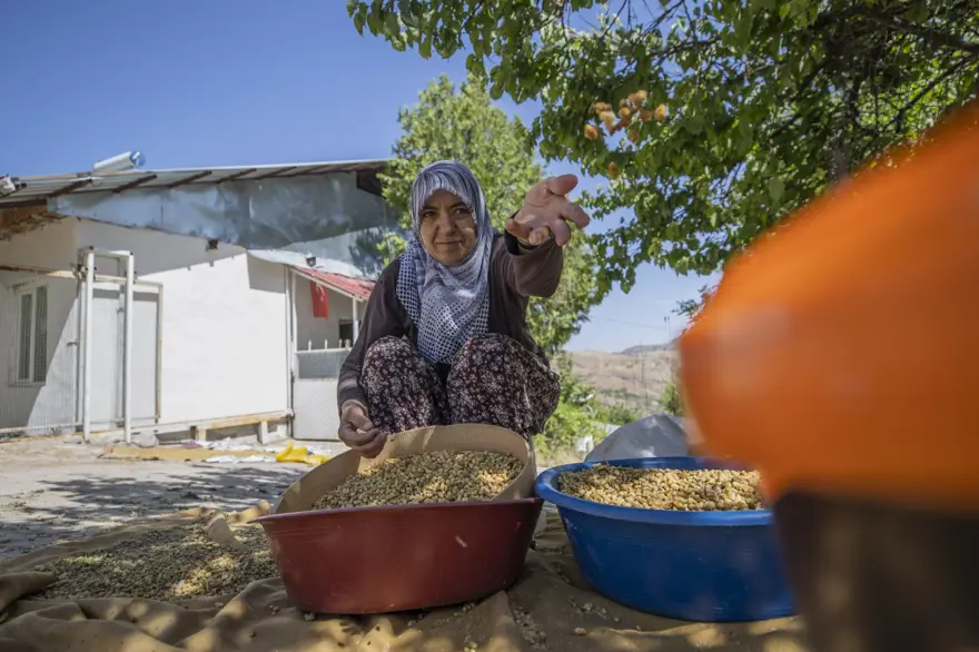 Coğrafi işaretli "Ulukale Dutu" geçim kaynağı oldu! Güneşin karşısında kurutuluyor, elekten geçirilerek hazırlanıyor 25