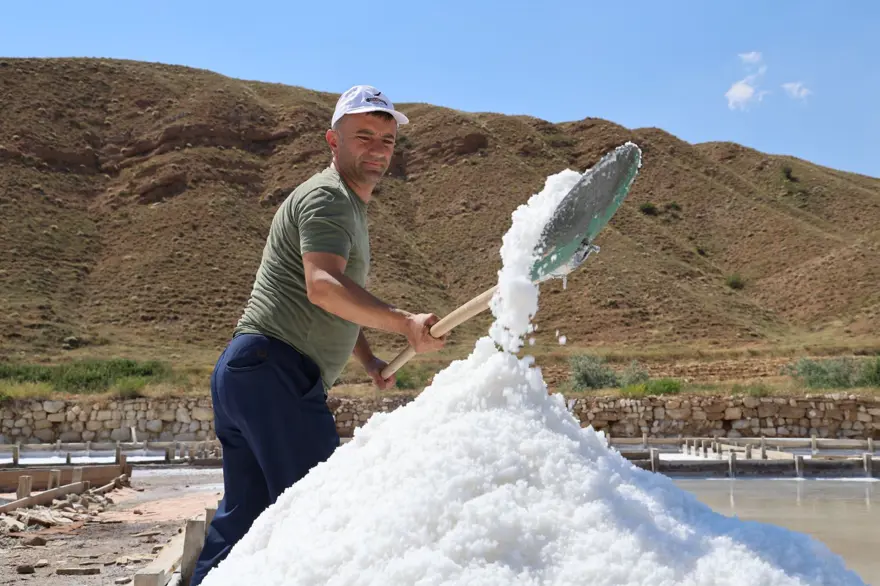 Yerin 7 metre altından çıkarılıyor: Beyaz altın hasadı başladı, içinde 84 mineral var 