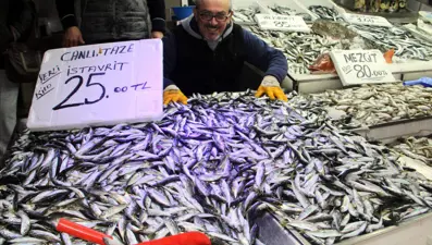 Karadeniz'de hamsinin yerini istavrit aldı