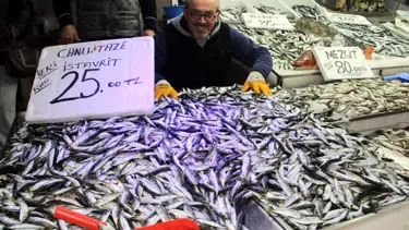 Karadeniz'de hamsinin yerini istavrit aldı