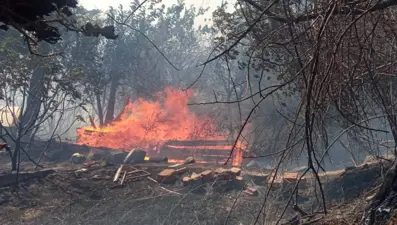 Çanakkale'de yangın paniğe neden oldu