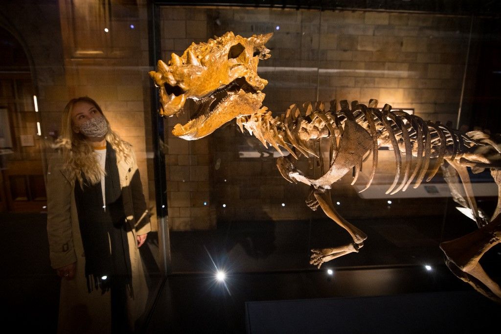 108 milyon yıllık dinozor! Bugüne kadarki en eski fosil keşfedildi