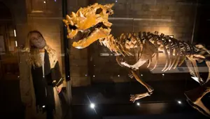 108 milyon yıllık dinozor! Bugüne kadarki en eski fosil keşfedildi