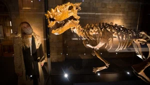 108 milyon yıllık dinozor! Bugüne kadarki en eski fosil keşfedildi 108 milyon yıllık dinozor! Bugüne kadarki en eski fosil keşfedildi