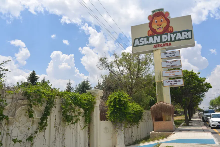 Ankara'da mahalle arası hayvanat bahçesi: Komşular kükremelerden rahatsız 