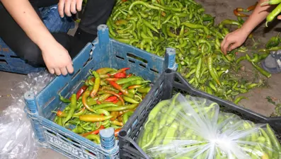Sıcaklık 40 dereceyi aştı: 04.00'te gelen ürün 12.00'ye kadar çürüyor