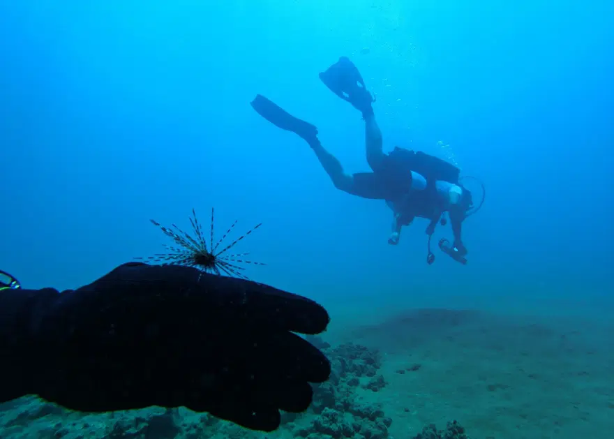 Fotoğraf tutkunu dalgıçlar, Mersin kıyılarındaki su altı kanyonlarını görüntülüyor 14