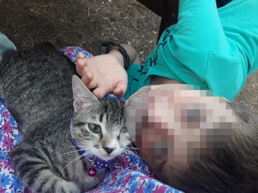 DURUŞMAYA BAŞÖRTÜSÜ, GÖZLÜK VE MASKEYLE KATILDI 7 DURUŞMAYA BAŞÖRTÜSÜ, GÖZLÜK VE MASKEYLE KATILDI 7