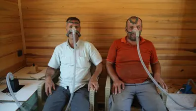 Alerji, astım, bronşite iyi geliyor: Şifayı böyle buluyorlar