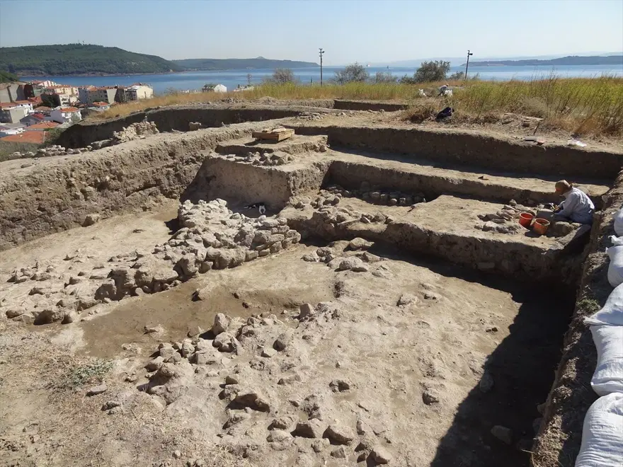 Kazı alanından çıkartılıp hayata döndürülen kedi: Mokali 7