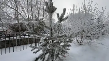 4 il buz kesti: Termometreler eksi 17 dereceyi gördü