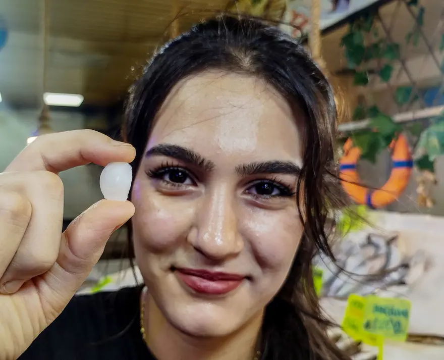 Kilosu 650 lira, başındaki taş 10 bin lira: Şifalı olduğuna inanılıyor 2