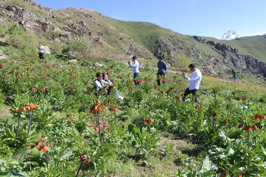 Hakkari'de 'ağlayan gelinler' ziyaretçi akınına uğruyor 9