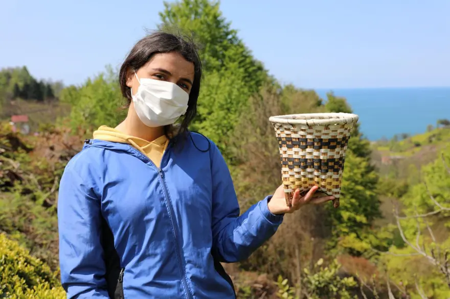 Beyaz çay hasadı başladı (Kilosu 4 bin 500 lira) 9 Beyaz çay hasadı başladı (Kilosu 4 bin 500 lira) 9