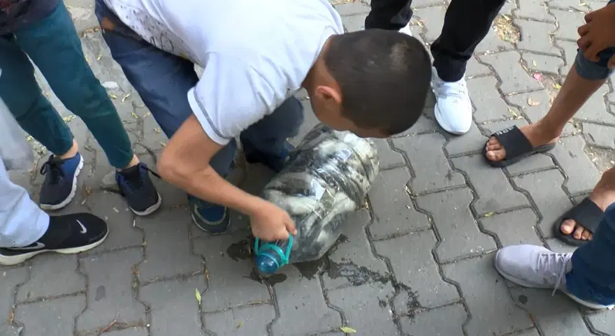 Binlerce balık kıyıya vurdu, vatandaşlar isyan etti 15