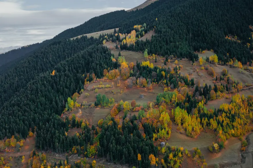 Artvin'den masalsı sonbahar manzaraları 16