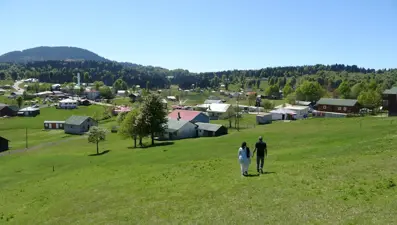 Trabzon’da yaylalarda kaçak yapıların yıkımları yeniden başladı