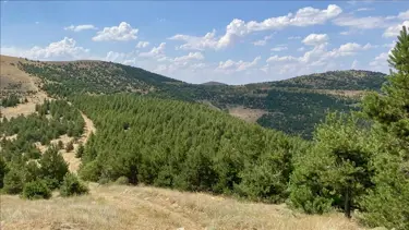 OGM'de iki bölge müdürü görevden alındı