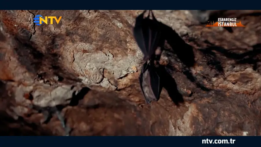 "BİLİNÇLENDİRMEYİ ARTIRMAMIZ LAZIM" 4