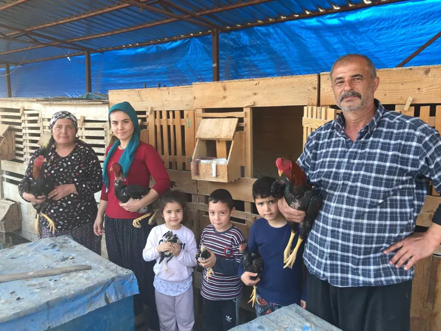 BİR YILDA 300 BİN HOROZ 6