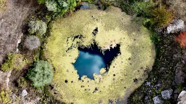 Timsah gözü hazan güzelliğiyle büyülüyor