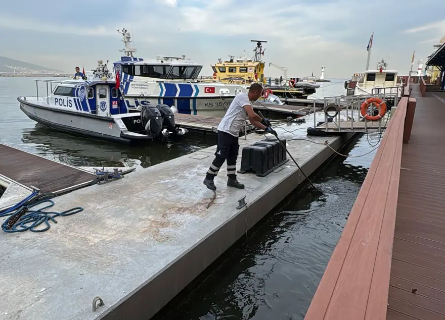 Deniz kahverengiye döndü: Balık ölümleri devam ediyor 2