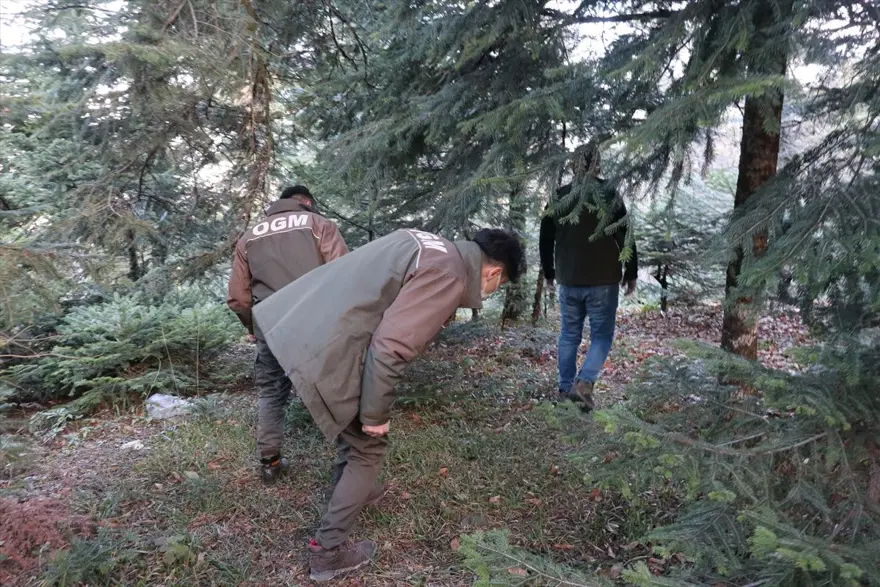 Ormanda yılbaşı nöbeti 2