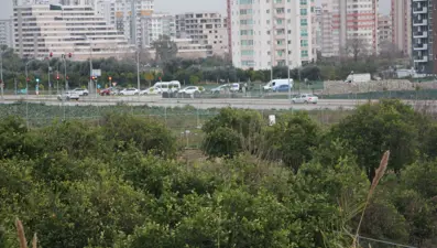 Yol kenarındaki arazilerde üretilen 'tarımsal' gıdalardaki tehlike